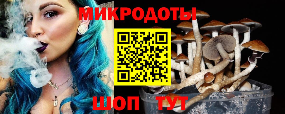 Галлюциногенные грибы Cubensis Ейск